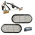 Kit Lanterna Traseira Carretinha Leds Cristal + Luz de Placa